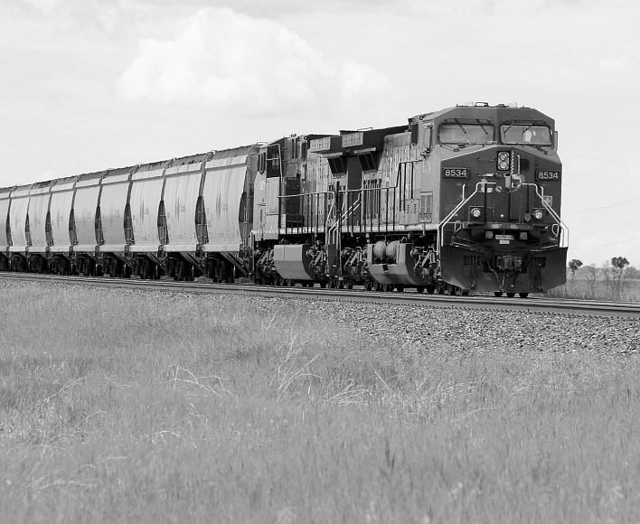 Rail Transport